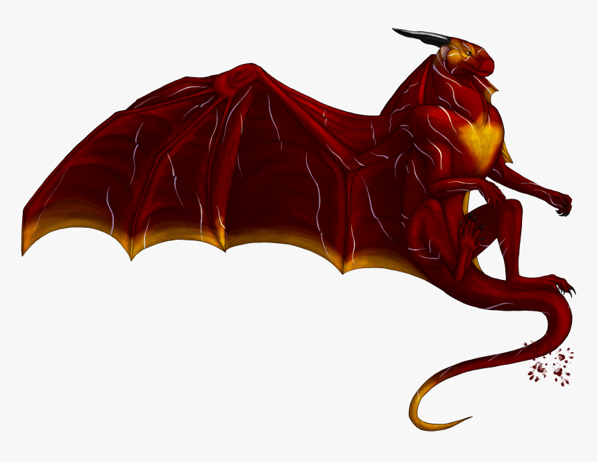 3koqyhg - Invertebrate, HD Png Download