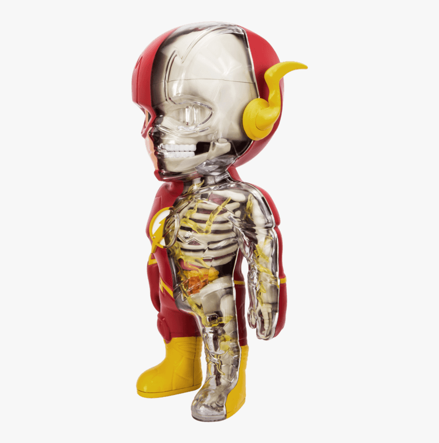 Action Figures Xxray Dc Xxray Dc Comics Golden Age - 4d Master, HD Png Download