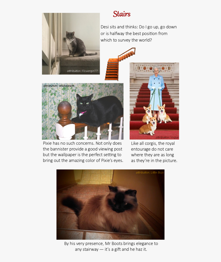 Balinese, HD Png Download