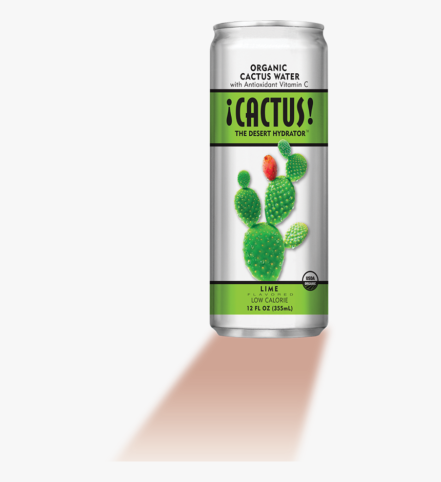 Seedless Fruit, HD Png Download