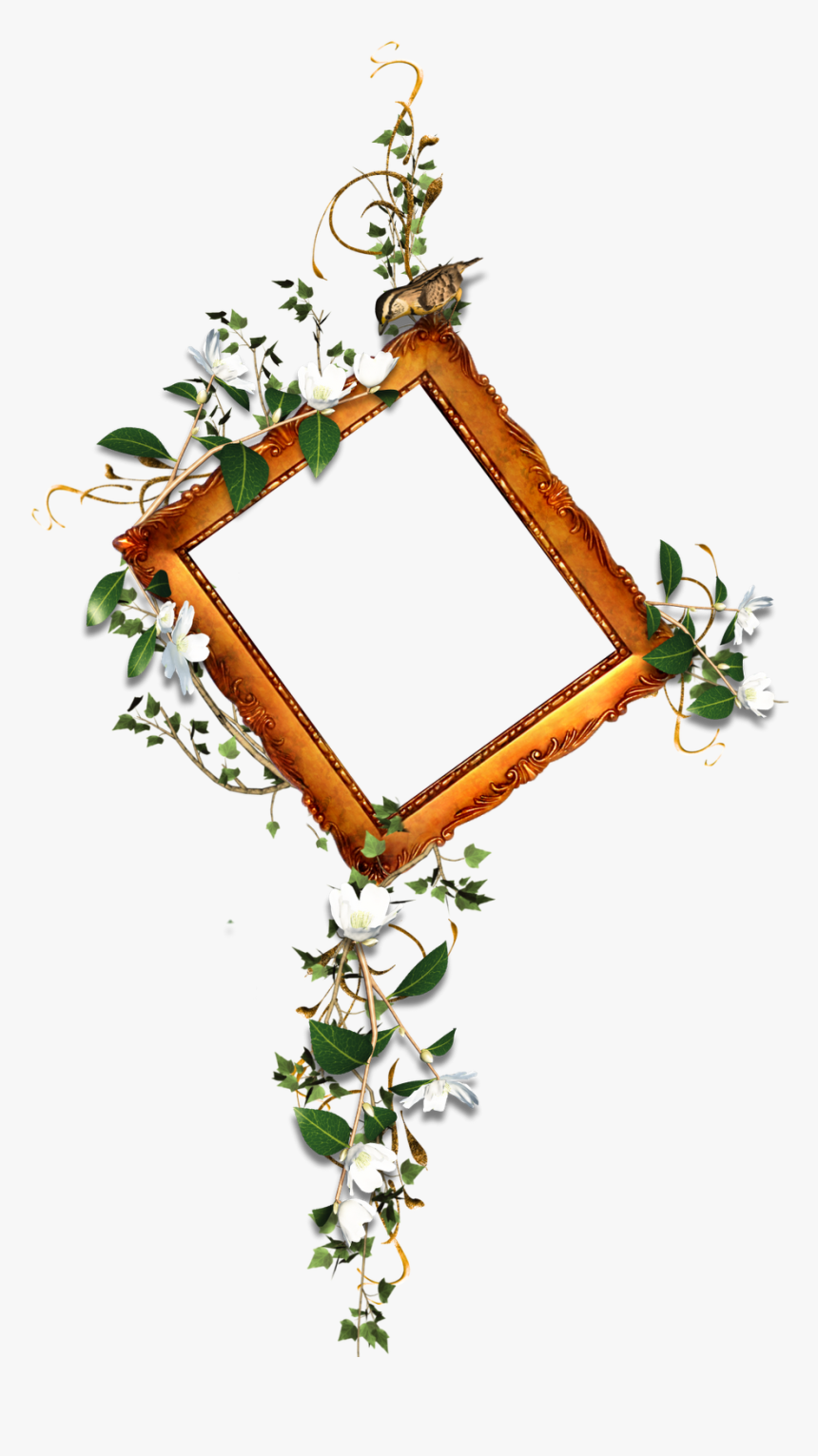 Free Scrapbook Frames And Borders High Resolution Photo Frame