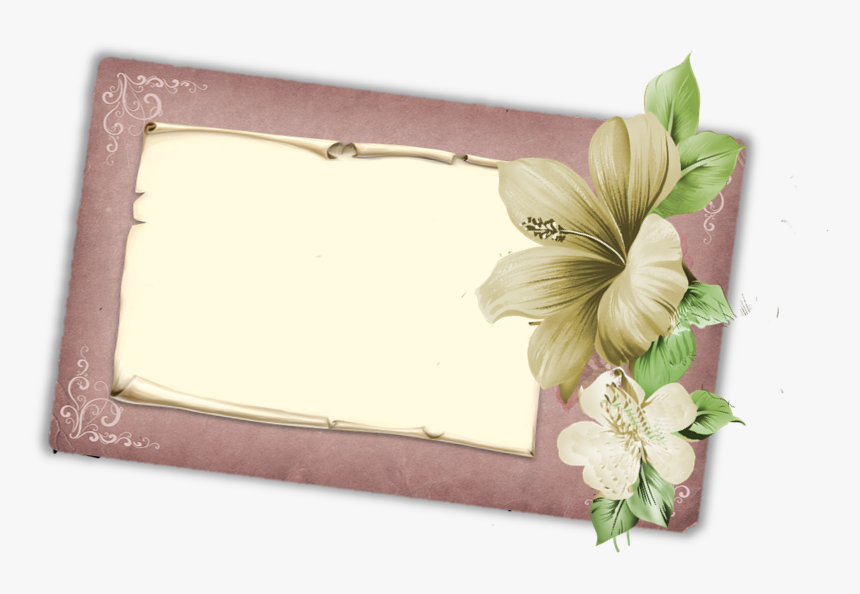 Antique Roses Clipart Illustrations Bundle 25 Hi Res - Hibiscus, HD Png Download