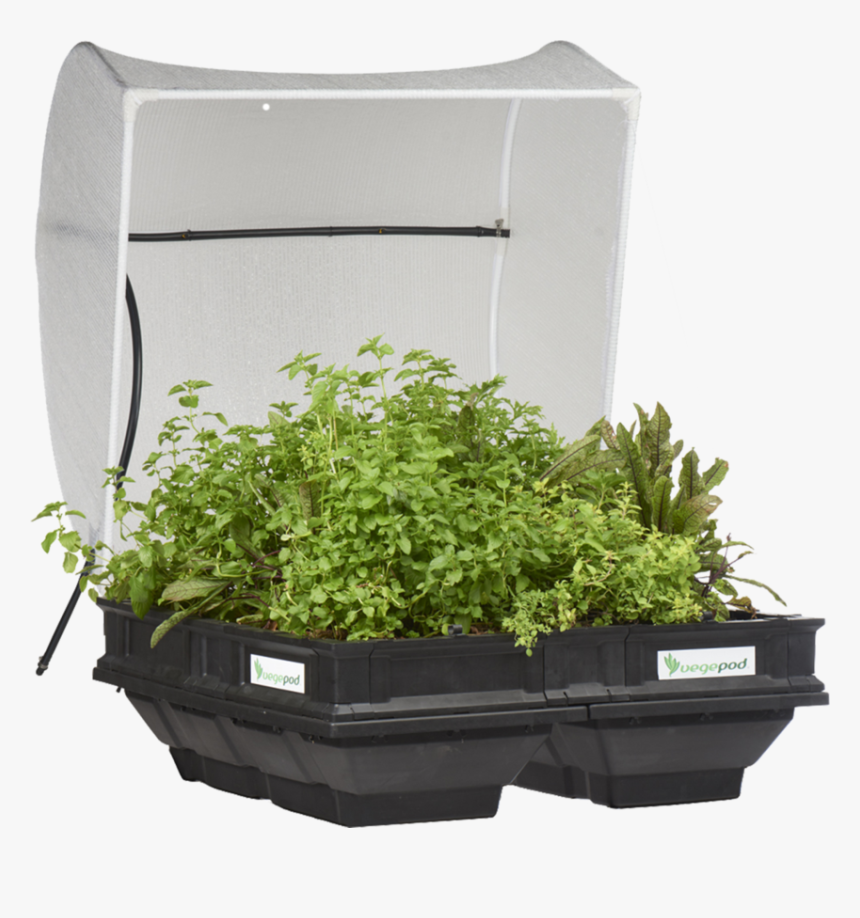 Medium Raised Garden Bed With Cover - Vegepod, HD Png Download