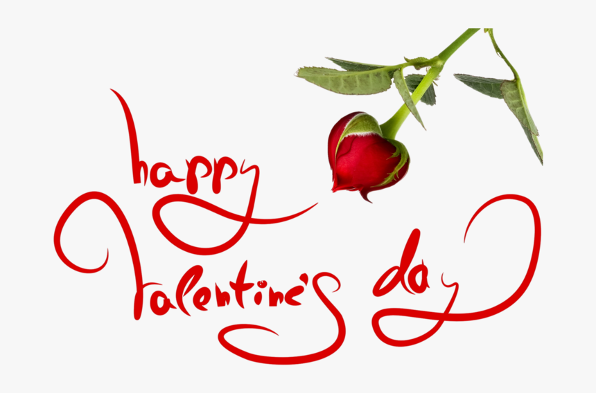 Valentine Roos, HD Png Download