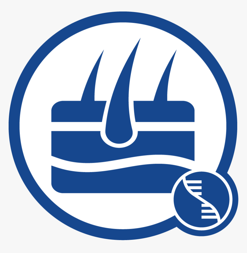 Tissue Rna Icon - Yeast Icon Png, Transparent Png