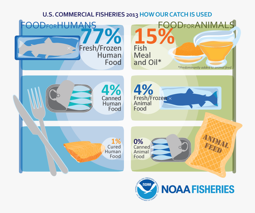 National Marine Fisheries Service, HD Png Download