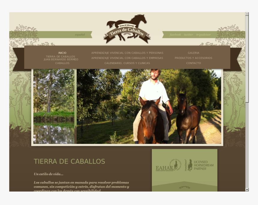 Caballos Png, Transparent Png