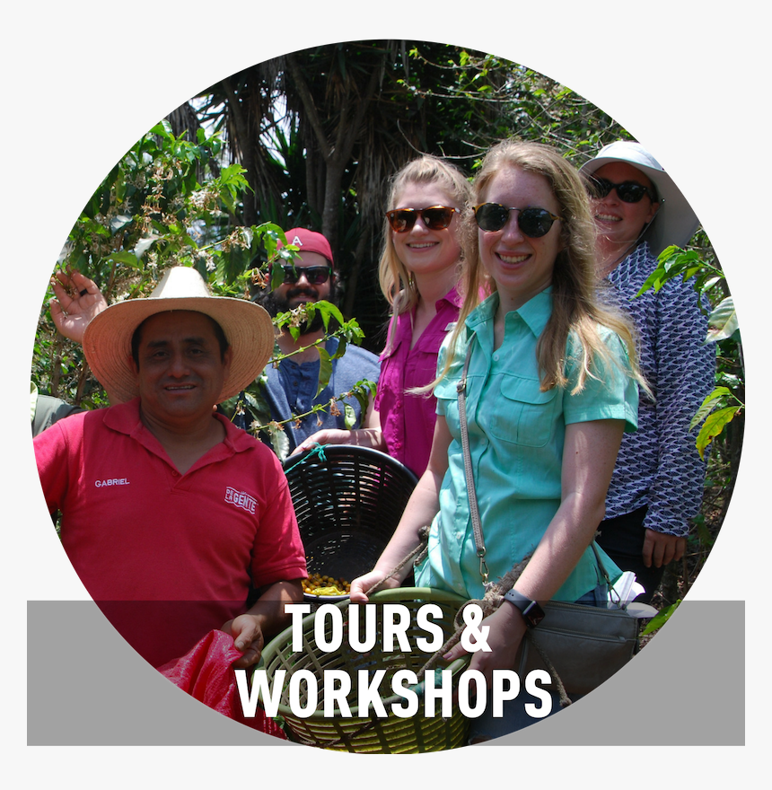Tours And Worshops Icon, HD Png Download