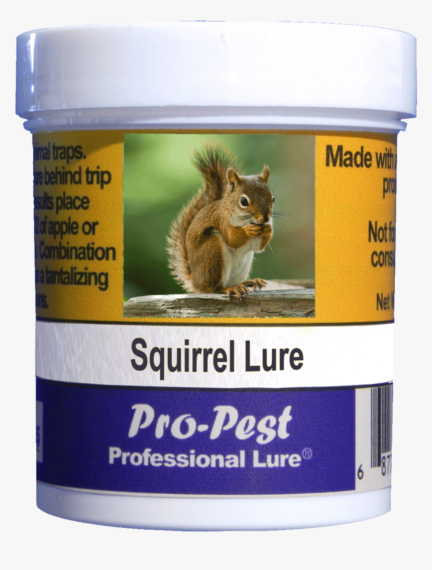 Groundhog, HD Png Download