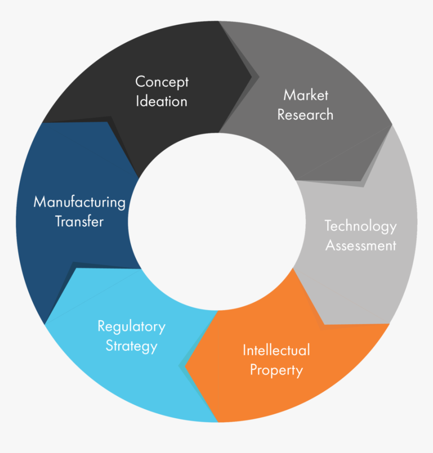 Circle, HD Png Download