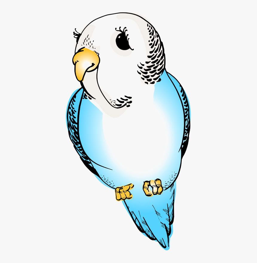 Delores, HD Png Download