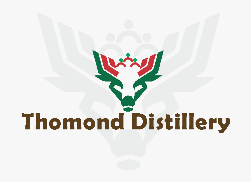 Logo Design By Flying Squirrel - Illustration, HD Png Download