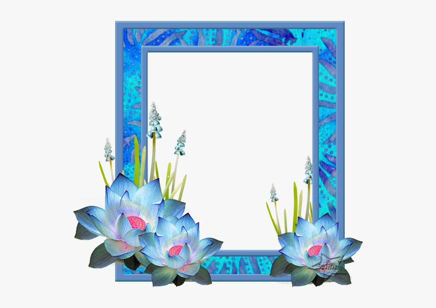 Flor De Loto 240506loto3 - Beauty, HD Png Download