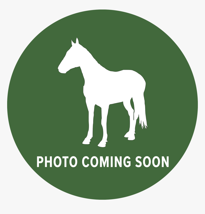 Mare, HD Png Download