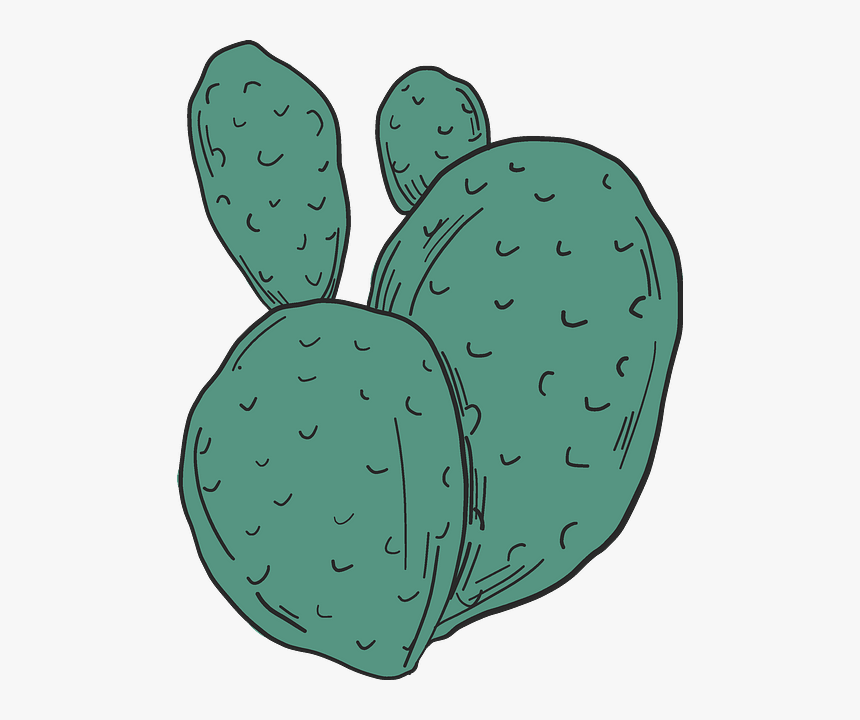 Eastern Prickly Pear, HD Png Download