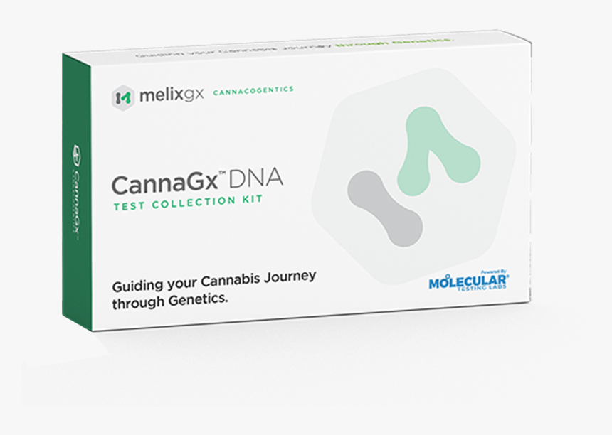 Cannabis Dna Test - Pinnacle Studio, HD Png Download