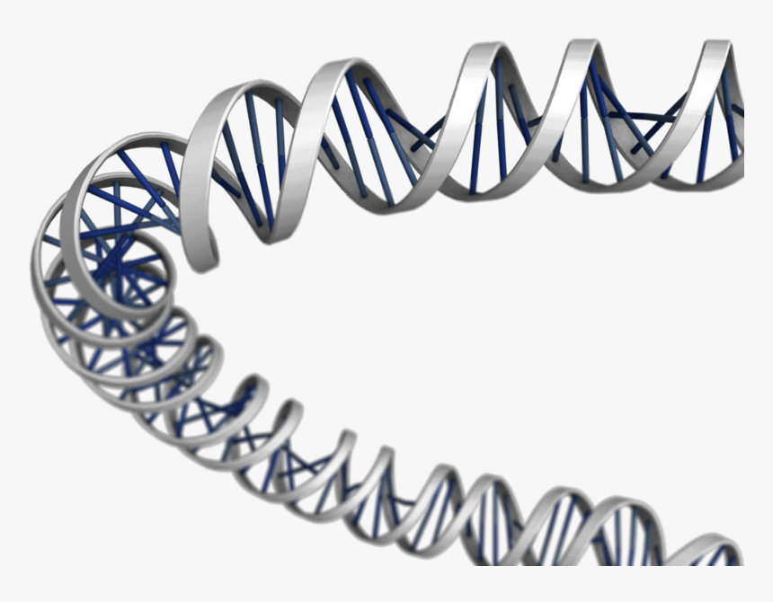3d Dna Png Download - Portable Network Graphics, Transparent Png