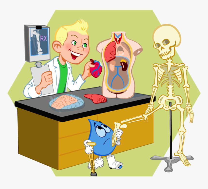 Cartoon, HD Png Download