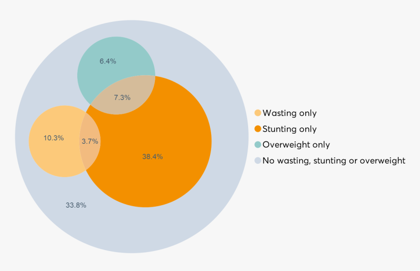 Profile Data Image - Circle, HD Png Download