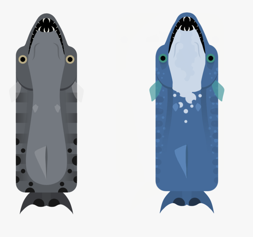 Buoyancy Compensator, HD Png Download