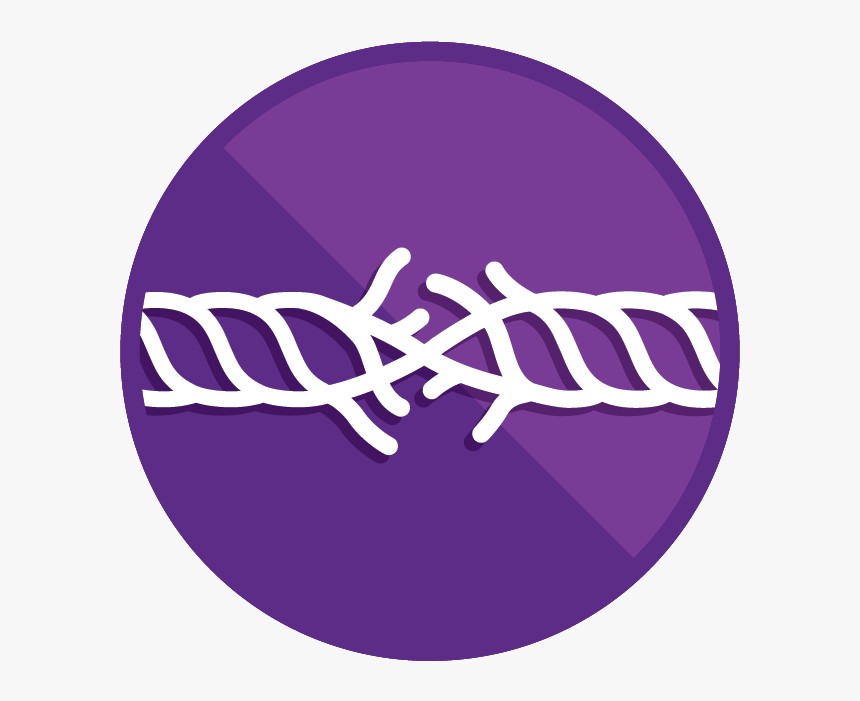 None - Circle, HD Png Download