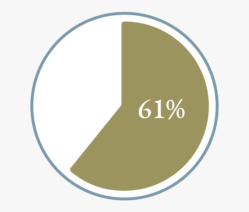 Amp Research 61 Percent - Circle, HD Png Download