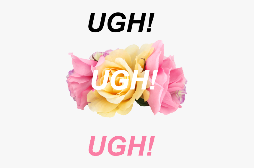 “ Ugh // The 1975 
” - Floribunda, HD Png Download