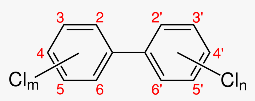 Polychlorinated Biphenyl Congeners, HD Png Download