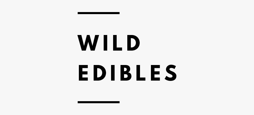 Botanical Folk Wild Food Recipes - Monochrome, HD Png Download