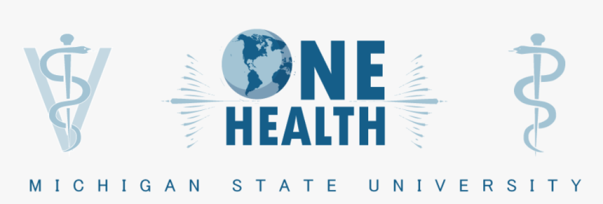 Msu One Health Club - World Map, HD Png Download
