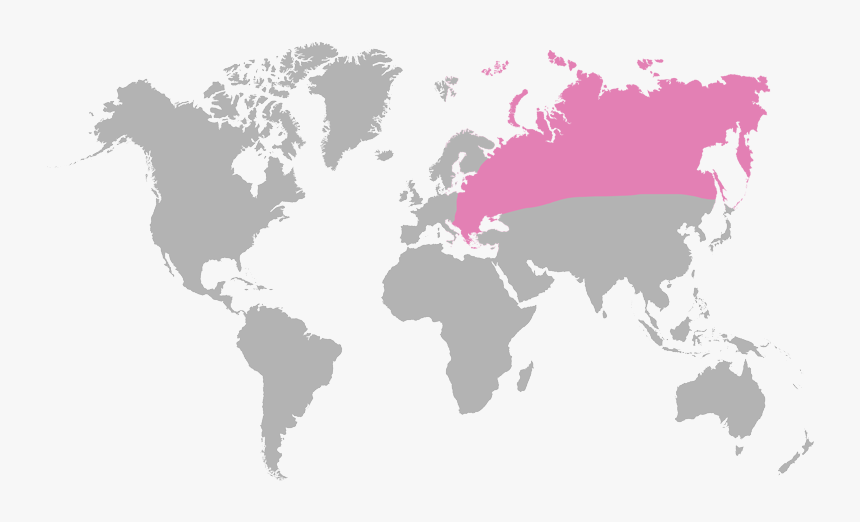 World Map, HD Png Download