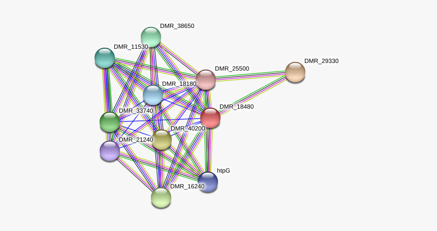 Dmr 18480 Protein - Circle, HD Png Download