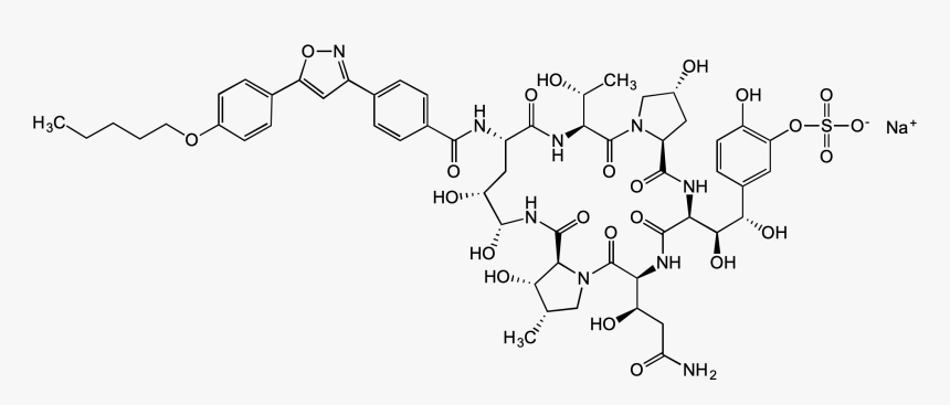 Diagram, HD Png Download