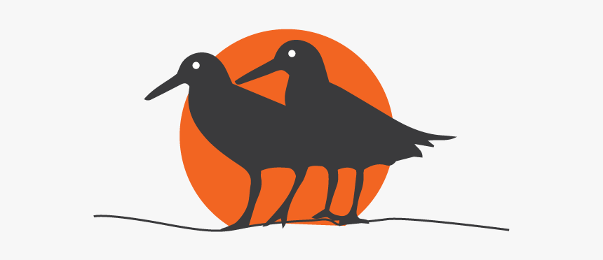 African Oystercatcher Icon - Hummingbird, HD Png Download