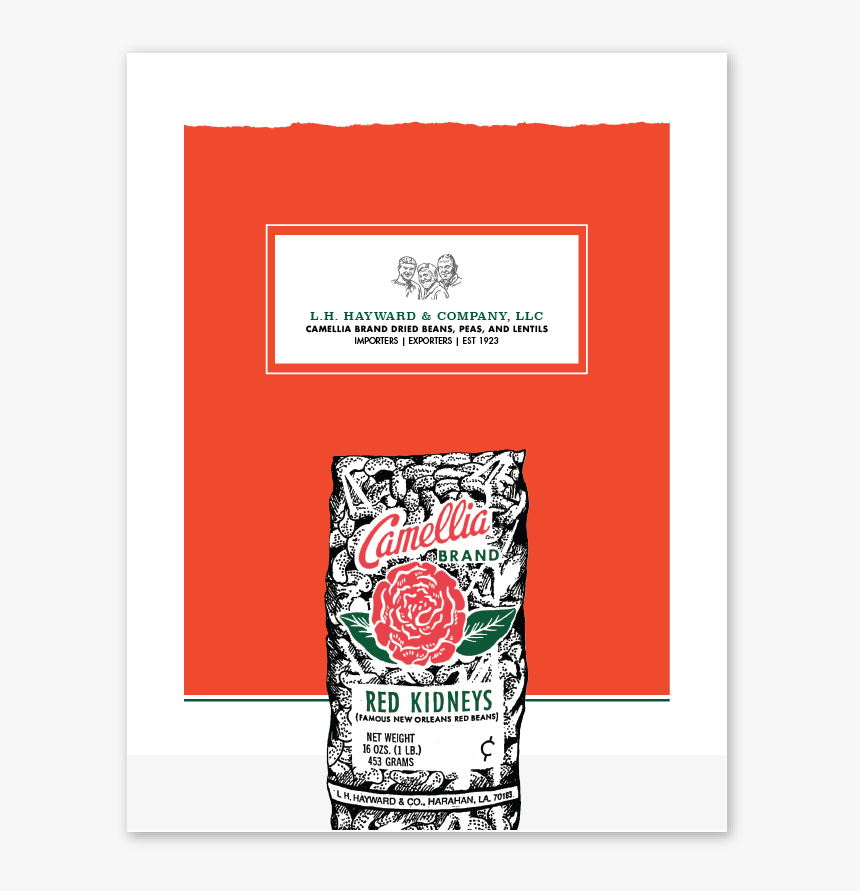 Miscellany Cam Stationary4 - Illustration, HD Png Download