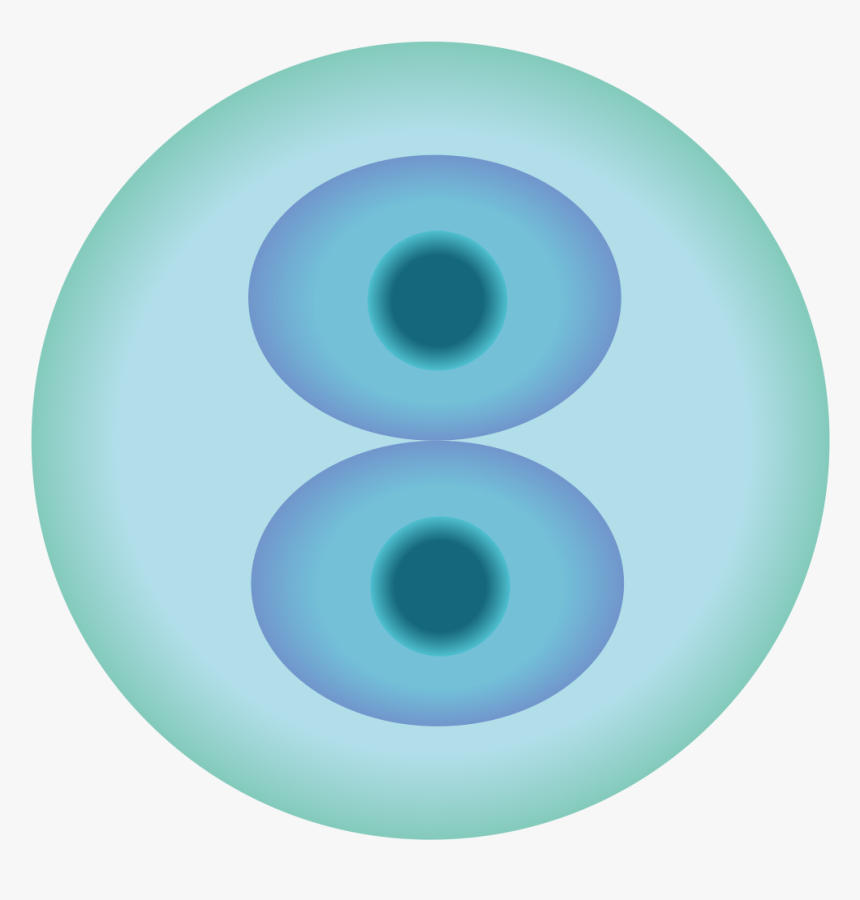 Circle, HD Png Download