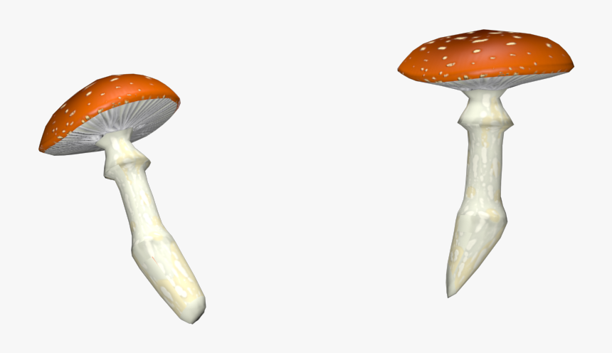 Shiitake, HD Png Download