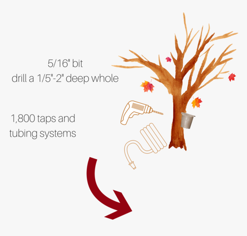 1,800 Taps And Tubing Systems - Illustration, HD Png Download
