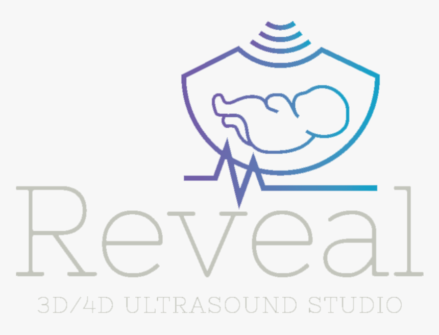3d 4d Ultrasound Studio Gilbert Az, HD Png Download
