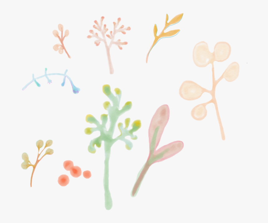 Flower - Floral Design, HD Png Download