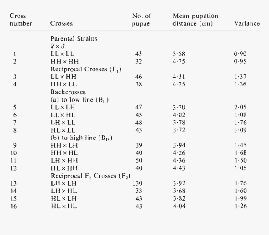 Number, HD Png Download