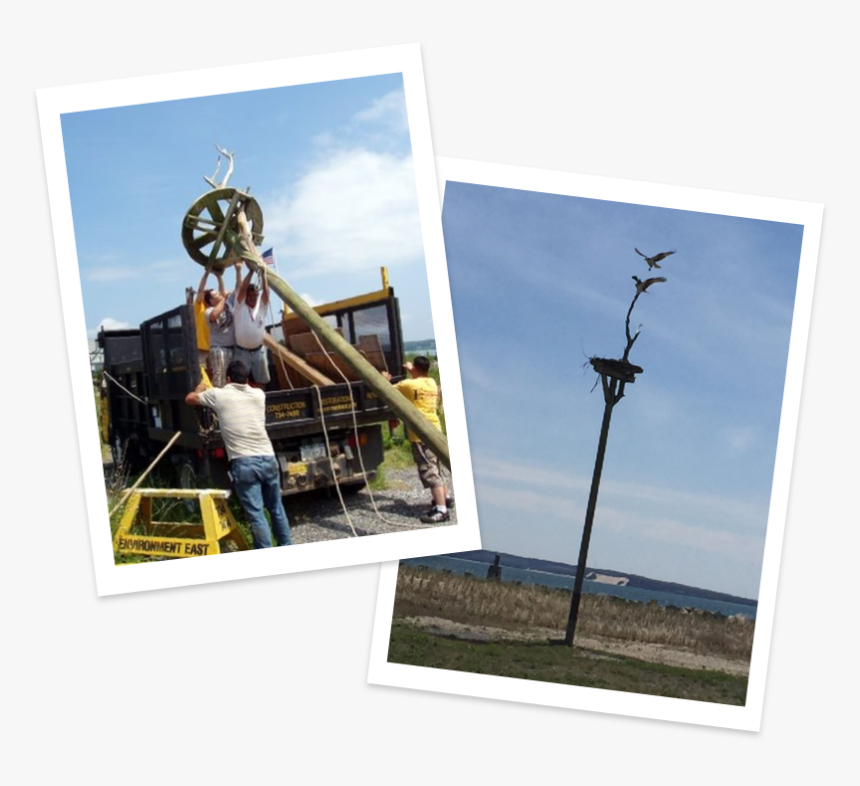 Visual Arts, HD Png Download