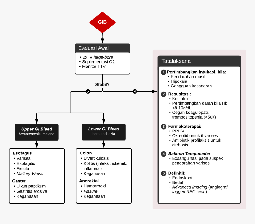 Interpretation Of Blatchford Score, HD Png Download