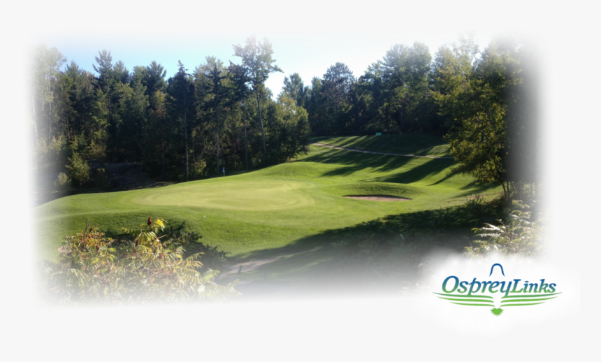 Thank You For A Great 2018 Season - Grass, HD Png Download