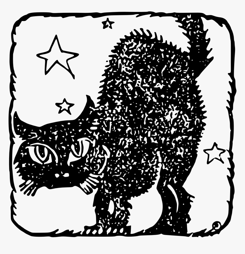 Leafy Paw Animal Care - Cat, HD Png Download