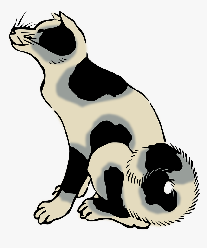 Drawing Whiskers Cat Dog Computer Icons - Breed Vs Species, HD Png Download