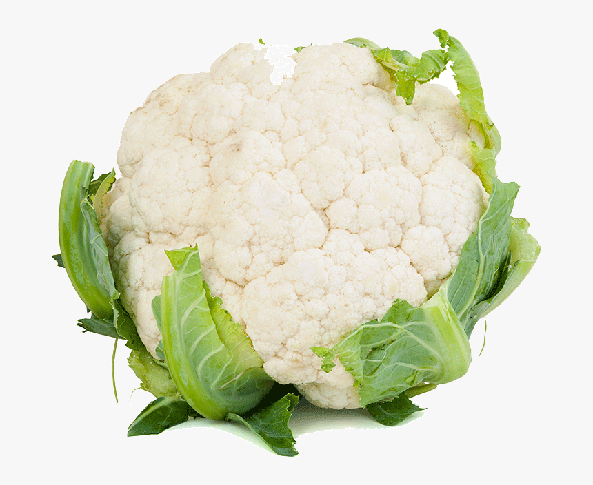 Chou Fleur , Png Download - Cauliflower White Background, Transparent Png
