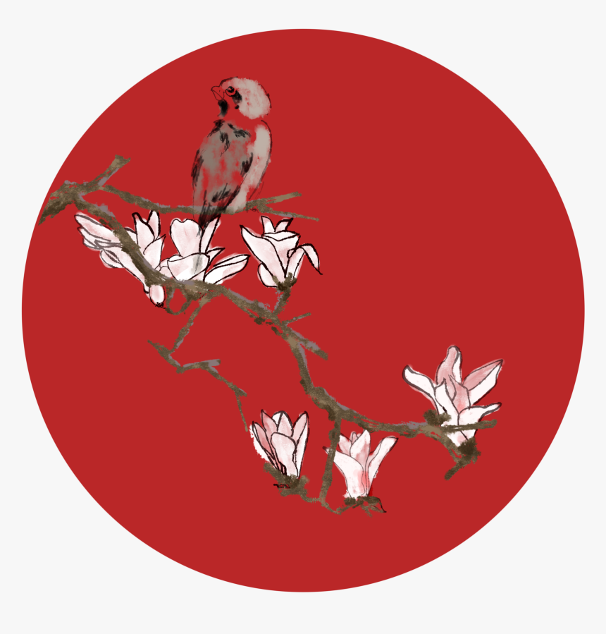 Transparent Clipart Gratuit Fleurs - Illustration, HD Png Download