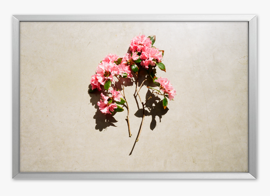 Bouquet, HD Png Download