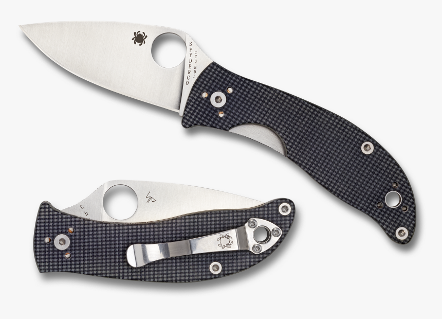 Spyderco Spy C222gpyg Alcyone 3.5in Gry-slv, HD Png Download